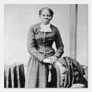 Black History Icons: Harriet Tubman, Civil Rights Sign