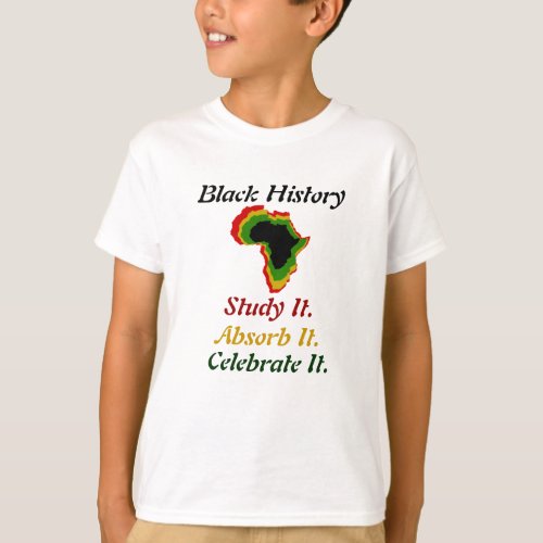 Black History _ StudyAbsorbCelebrate Pan_Afric T_Shirt