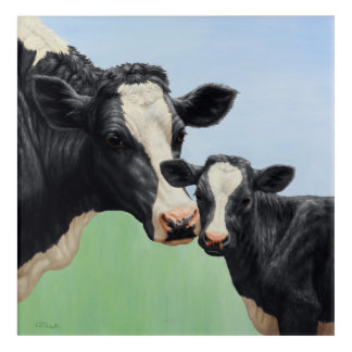 Black Holstein Cow & Cute Calf Acrylic Print