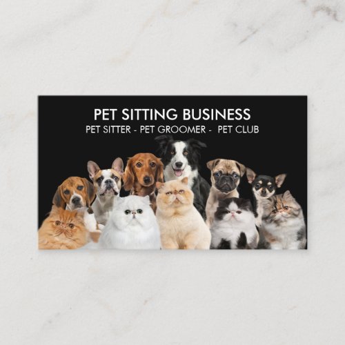 Black Home Pet Six Dogs Five Cats Business Card