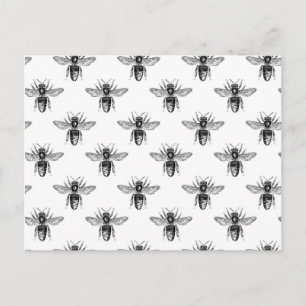 Black Honey Bees on White Postcard