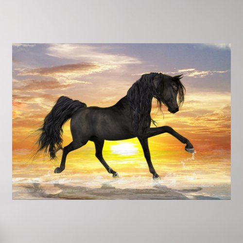 Black Horse 28 x 20 Value Poster Matte