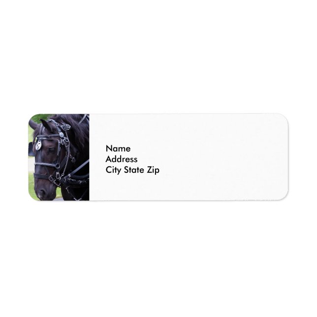 Black Horse 384 Label (Front)