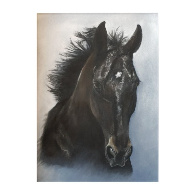 Black Horse Acrylic Artwork Acrylic Print (Front)
