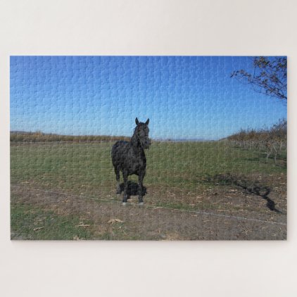 Black Horse Alone In The Pasture Jigsaw Puzzle