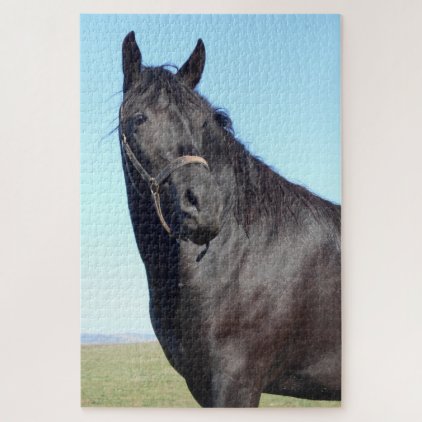 Black Horse And The Blue Sky Jigsaw Puzzle