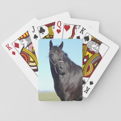 Black Horse And The Blue Sky Playing Cards