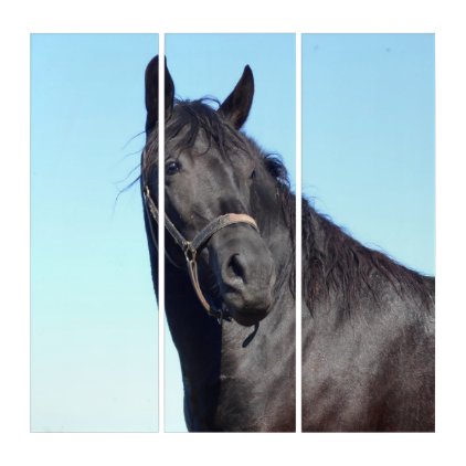 Black Horse And The Blue Sky Triptych