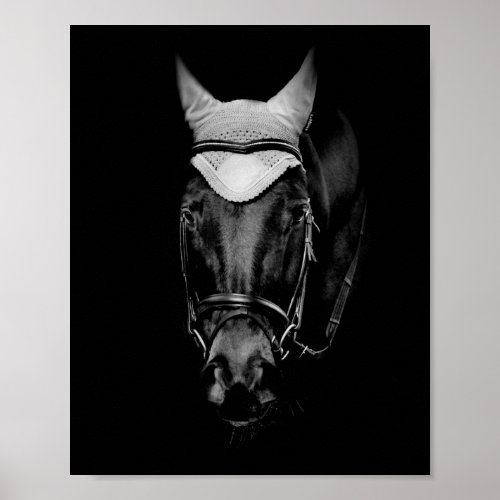 Black Horse Black Background Poster