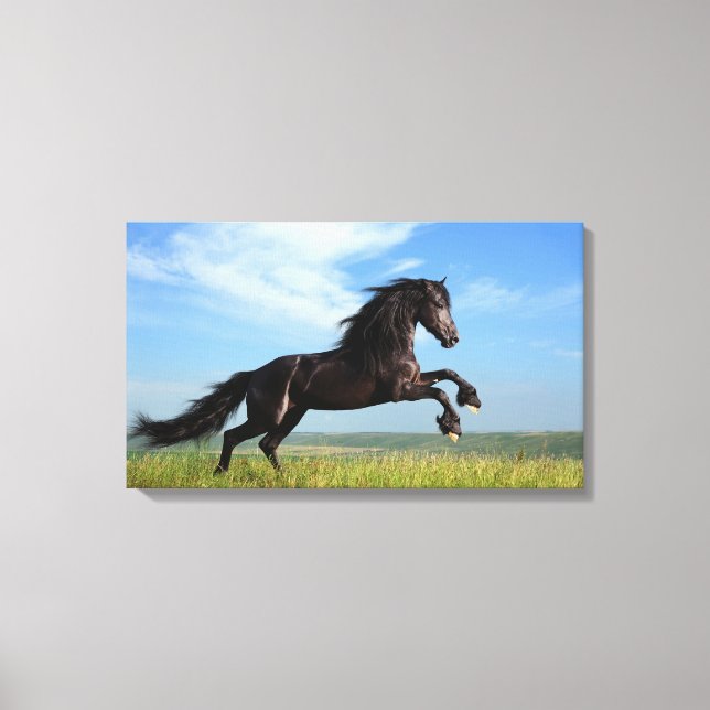 Black Horse Canvas Print (Front)