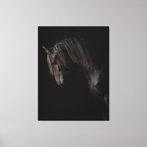 BLACK HORSE CANVAS PRINT