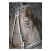Black horse card (Front)
