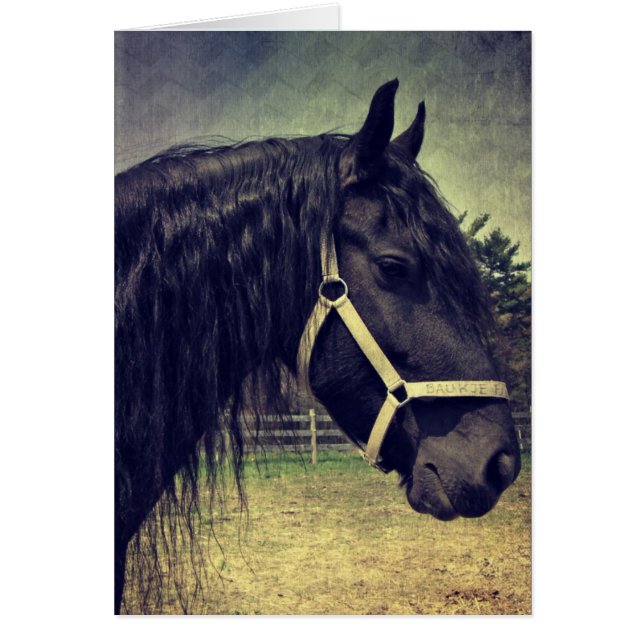 Black Horse Cards (Front)