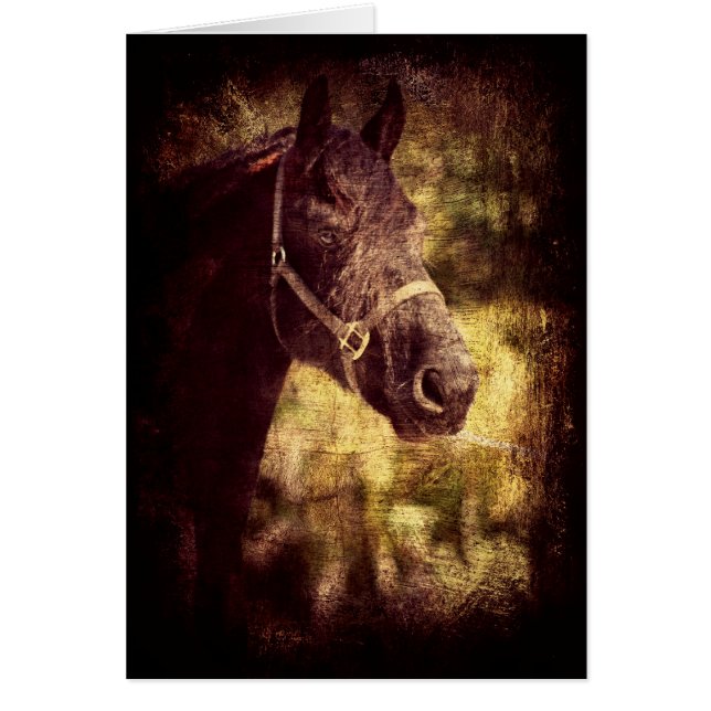 Black Horse Cards (Front)