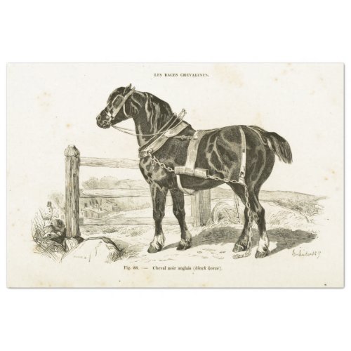 Black Horse Ephemera Decoupage Vintage French Tissue Paper