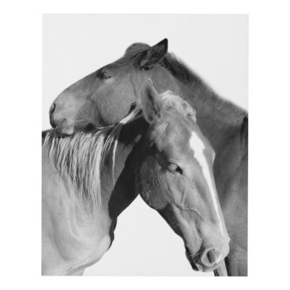 Black horse equine photography black and white panel wall art