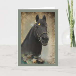 Black Horse - Greeting Card