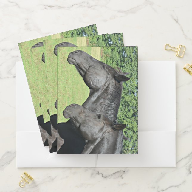 Black Horse Heads in Gentle Profile Pocket Folder (In Situ)