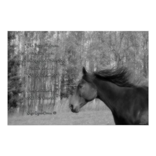 Black Horse  Horse_lover Poem w Equine BW Photo Poster