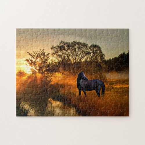 Black horse in sunrise field jigsaw puzzle