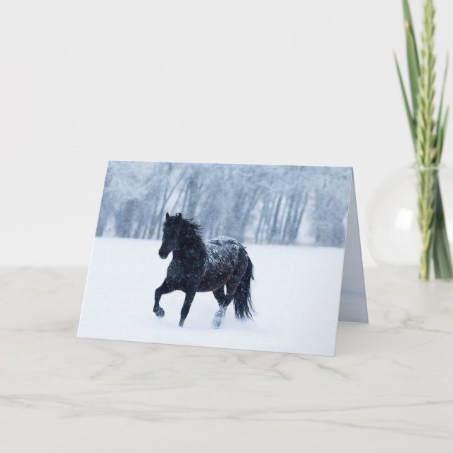 Black Horse in the Snow Greeting Card (Front)