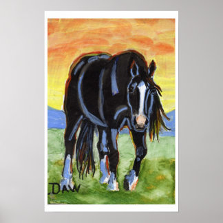 Black Horse in the Sunset Poster