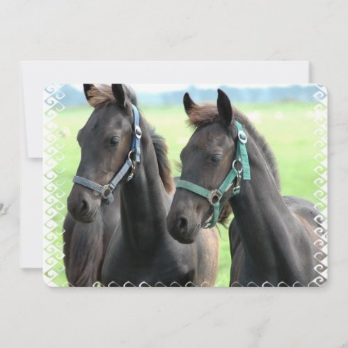 Black Horse Custom Announcement