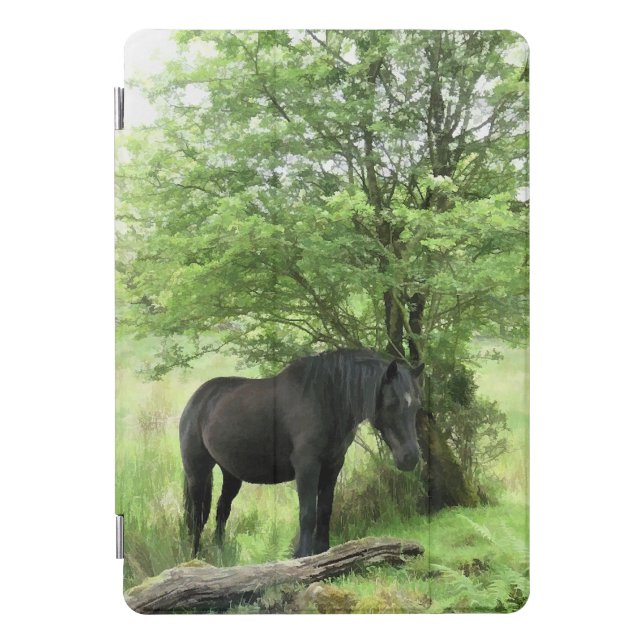 BLACK HORSE iPad PRO COVER (Front)