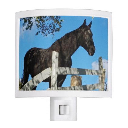 Black Horse Night Light