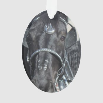 Black Horse Ornament by Rinchen365flower at Zazzle
