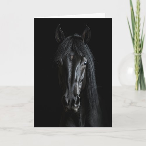 Black Horse Photograph  Card