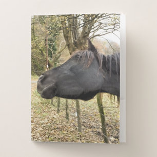 BLACK HORSE POCKET FOLDER