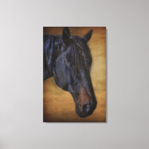 Black Horse Portrait on Rustic Parchment effect Canvas Print