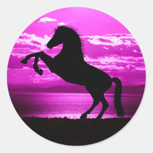 Black horse/ purple stickers. classic round sticker