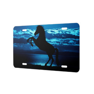 Black Horse Rear Blue Sky and Water License Plate