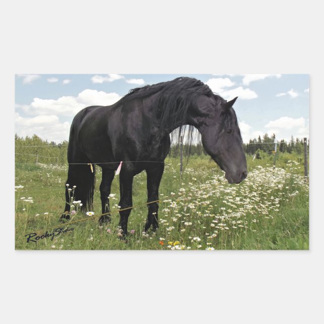 Black Horse Rectangular Sticker (Front)