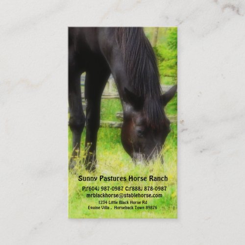 Black Horse Riding Stables Boarding or Farrier Business Card