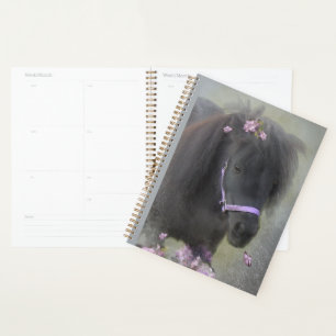 Black Horse Shetland Pony - Calendar, Planner
