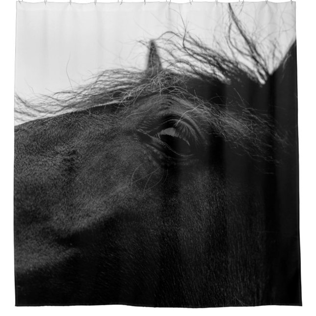 BLACK HORSE SHOWER CURTAIN (Front)
