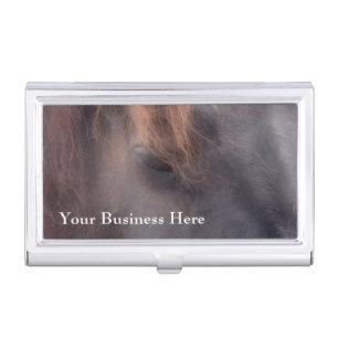 Black Horse Soulful Eye Equine Business Card Holder