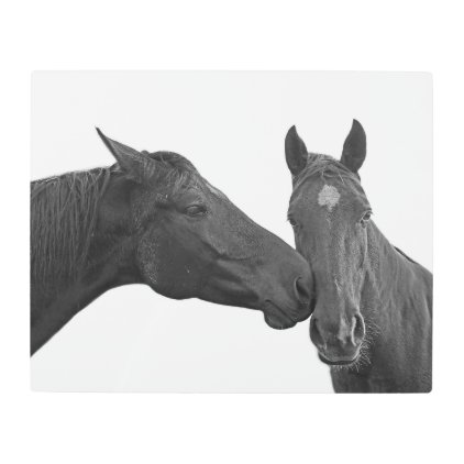 Black horse stallion photography black and white metal print