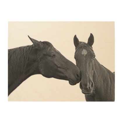 Black horse stallion photography black and white wood print