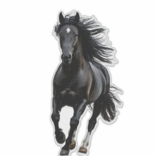 Black horse sticker