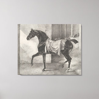 "Black Horse Tethered" by Théodore Gericault Canvas Print