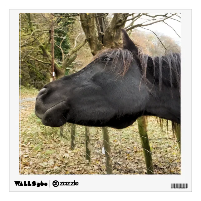 BLACK HORSE WALL DECAL Zazzle