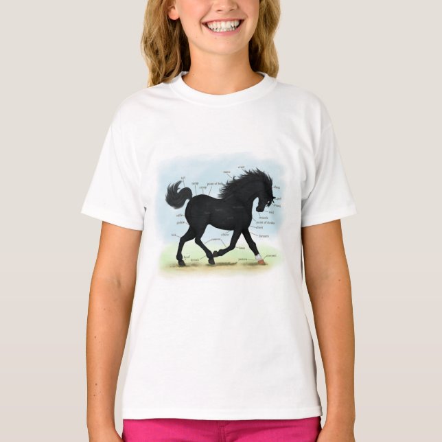 Black Horse with Star & Sock Anatomy Chart T-Shirt (Front)