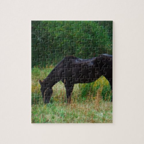 Black horse  yellow flowers jigsaw puzzle
