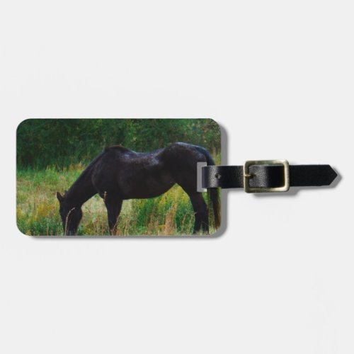 Black horse  yellow flowers luggage tag