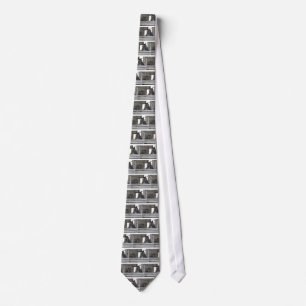 Black Horses/Ranch Neck Tie