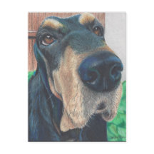 black hound post card